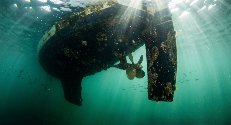 Before hull cleaning — marine growth and barnacles on propeller and hull